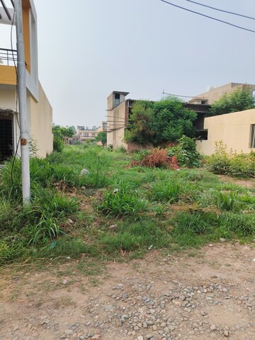 Plot Area in  Plot at Sector 109 – for Sale