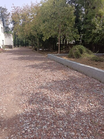 Plot Area in  Plot at Sultanpur – for Sale