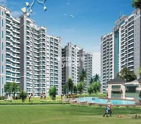 4 BHK Apartment For Rent in Prateek Fedora Sector 61 Noida  7346692