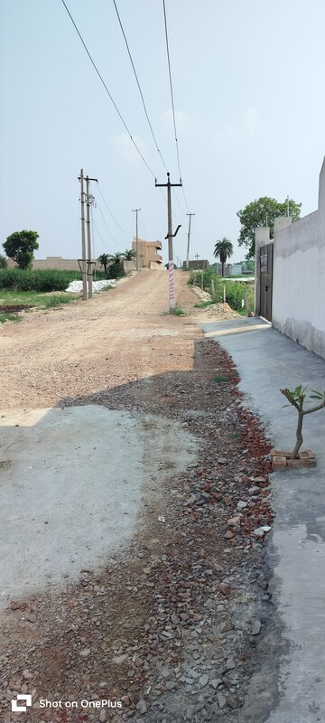  Plot For Sale in Tikawali