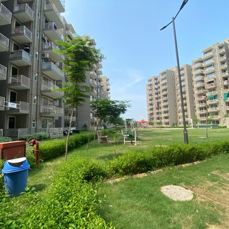 3 BHK Apartment For Resale in Conscient Habitat 78 Faridpur Faridabad  7347483