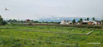 Plot For Resale in Ambiwala Dehradun  7347609