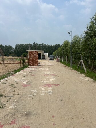 Plot For Resale in Shivaji Nagar Dehradun  7347623