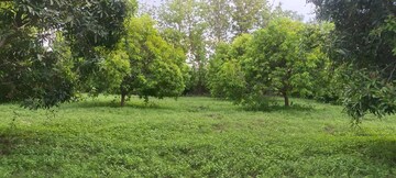  Plot – Exterior View View at Gollapalem - for Sale