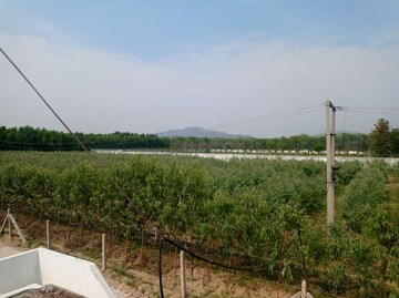 Plot Area in  Land at Dehradun Cantt – for Sale