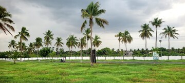  Plot – Garden View at Maramangalathupatti - for Sale