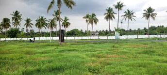 Plot For Resale in Maramangalathupatti Salem  7347981