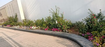  Plot – Exterior View View at Omaxe City - Omaxe Heights, Sector 97 - for Sale