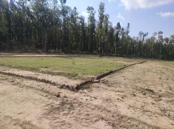 Plot For Resale in Manduwala Dehradun  7348427