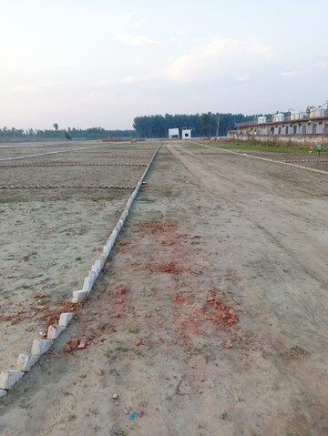  Plot For Sale in Jharoda Kalan