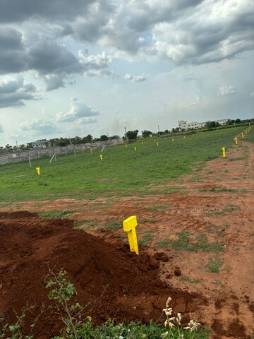 Plot Area in  Plot at Mangalagiri – for Sale