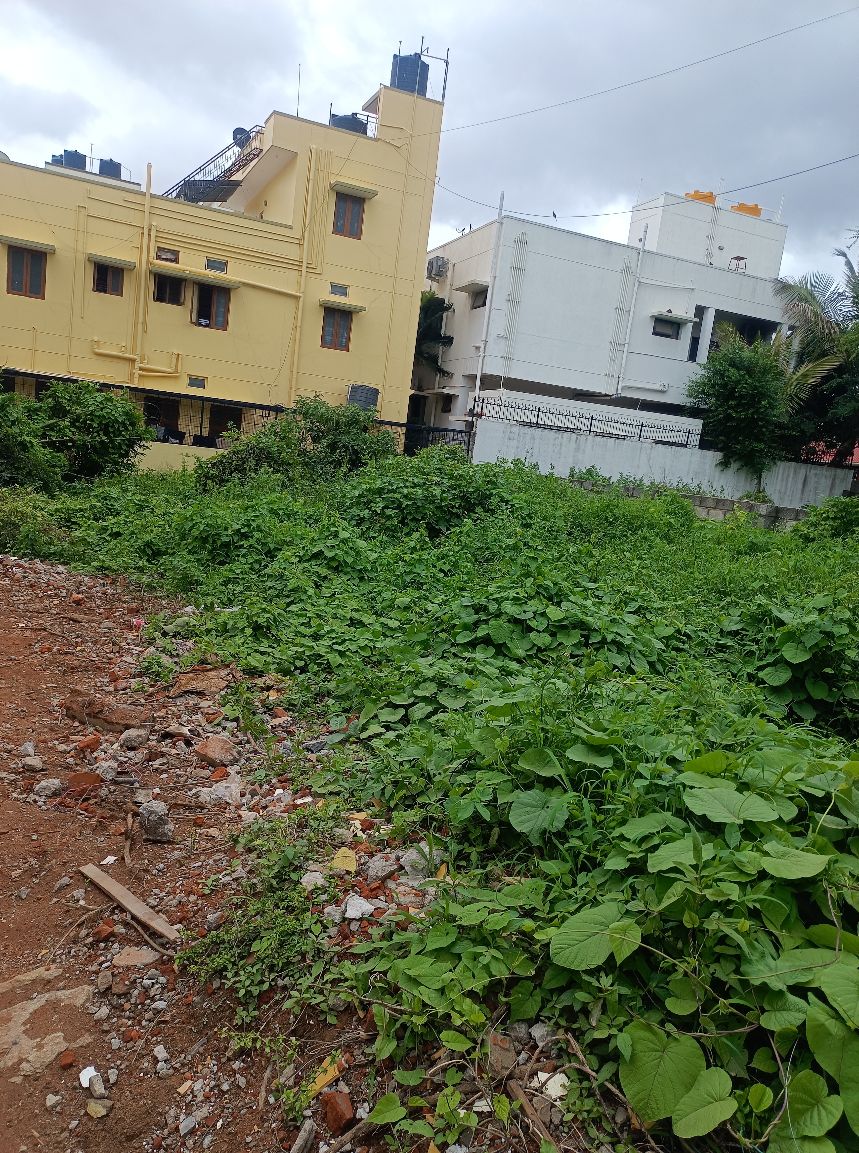 Plot For Resale in Banashankari Bangalore  7351372