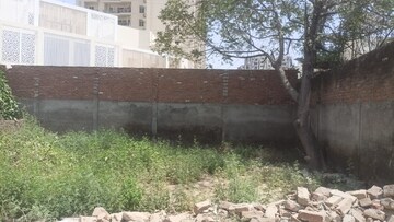 Plot Area in  Plot at Kamta – for Sale