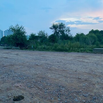 Plot Area in  Plot at Sector 81 – for Sale