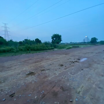 Plot Area in  Plot at Sector 80 – for Sale