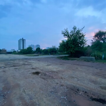 Plot Area in  Plot at Sector 80 – for Sale