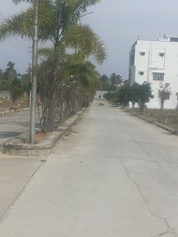  Plot – Exterior View View at Jigani Road - for Sale