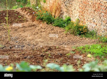 Plot Area in  Plot at Shimla Bypass Road – for Sale