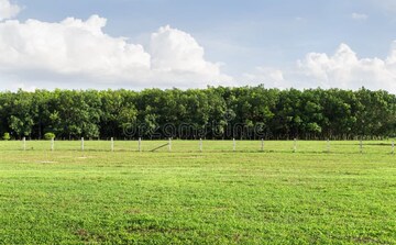 Plot Area in  Plot at Shimla Bypass Road – for Sale
