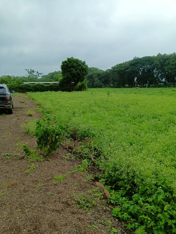 Plot Area in  Plot at Gangapur – for Sale