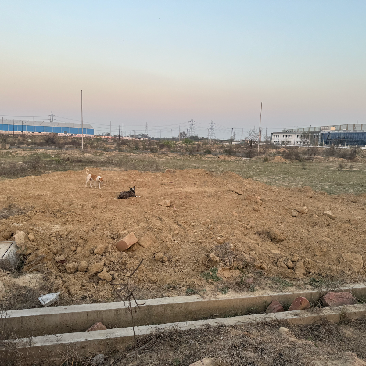 Commercial Industrial Plot 1000 Sq.Mt. For Resale in Ecotech 11 Greater Noida  7352340