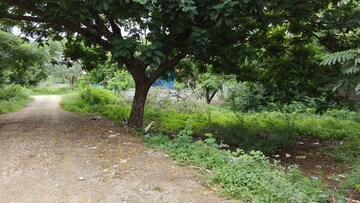 Plot For Resale in Kondapur Hyderabad  7352363