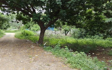 Plot For Sale in Kondapur