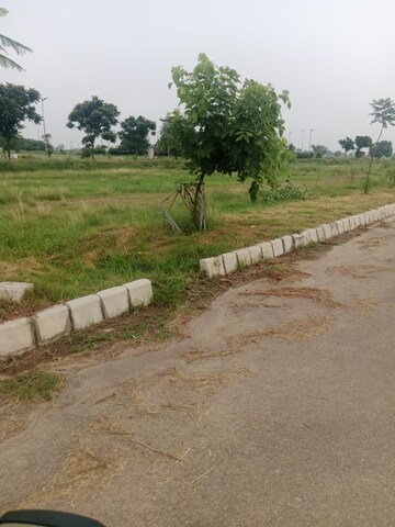 Plot Area in  Plot at Altus Prime, North Mullanpur – for Sale