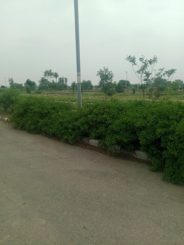  Plot For Sale in Altus Prime, North Mullanpur