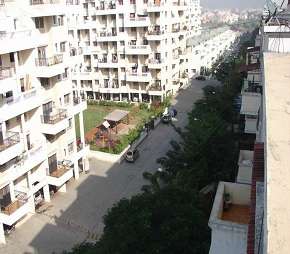 3 BHK Apartment For Rent in Siddhivinayak Ginger Pimple Saudagar Pune  7353452