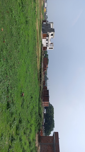 Plot For Resale in Kursi Road Lucknow  7353792