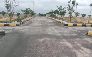 Plot For Sale in Rajapet