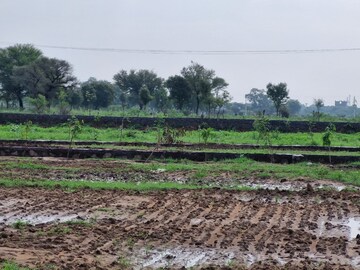  Plot For Sale in Shree Ram Custom Officers Enclave, Tonk Road
