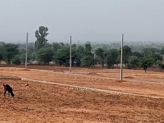 Plot For Resale in Chaumuhan Mathura  7354252