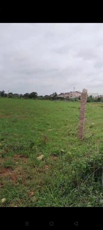 Commercial Land 1 Acre For Resale in Siddipet Hyderabad  7354269