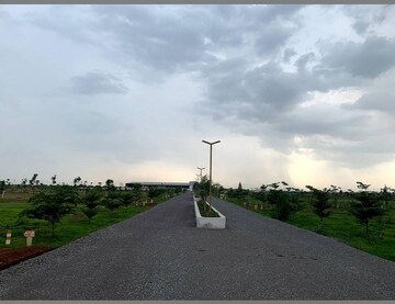 Plot Area in  Plot at PachedA-1 – for Sale