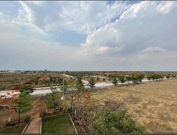 Plot Area in  Plot at PachedA-1 – for Sale