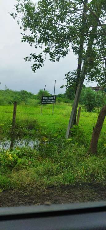 Plot For Resale in Gandhibagh Nagpur  7355297