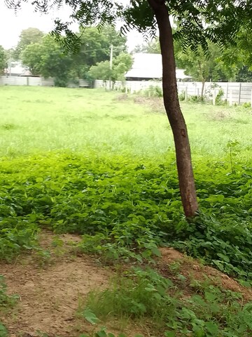  Plot For Sale in Navrangpura