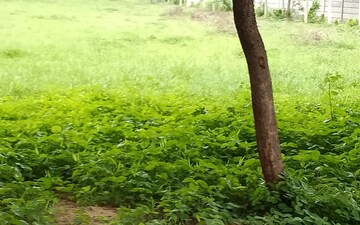Plot For Sale in Navrangpura