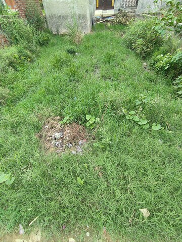  Plot – Garden View at Achheja - for Sale