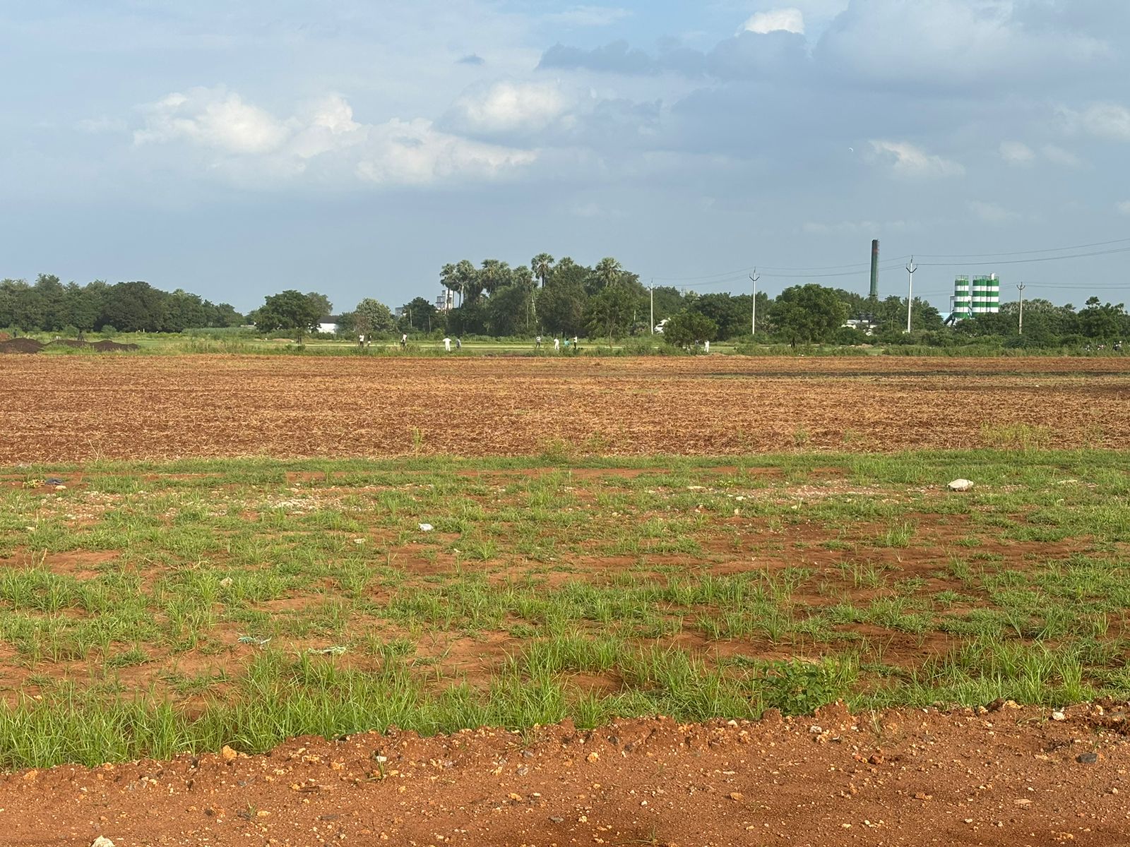 Plot For Resale in Mangalagiri Vijayawada  7355311