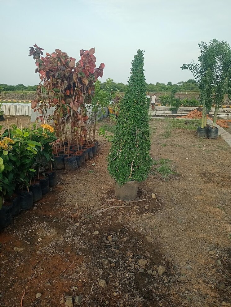 Garden, kamkole  225 Sq.Yd. Plot In Kamkole Hyderabad 7355809