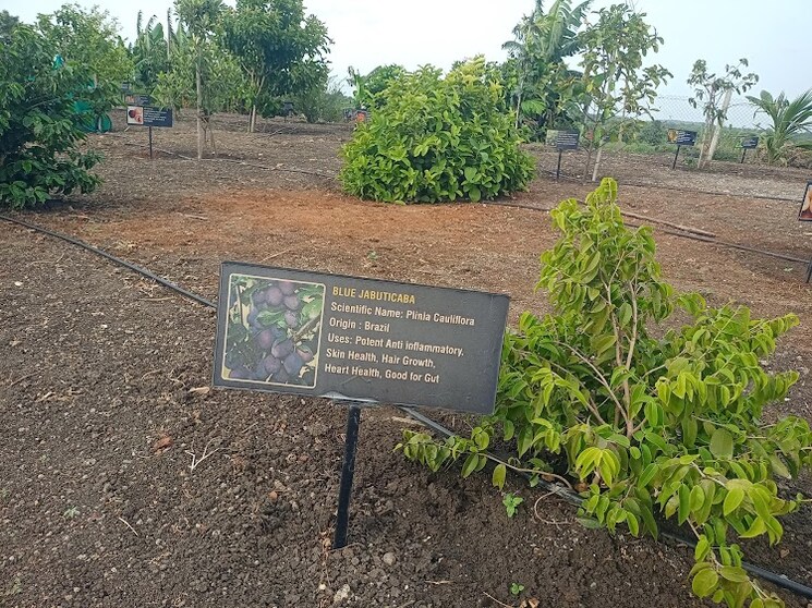 undefined, kamkole  225 Sq.Yd. Plot In Kamkole Hyderabad 7355809