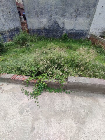  Plot For Sale in Achheja