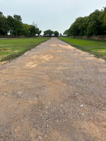 Plot Area in  Plot at Sultanpur – for Sale