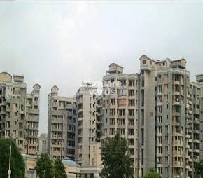 2 BHK Apartment For Rent in Army Sispal Vihar Sector 49 Gurgaon  7356456