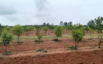 Plot For Sale in Kharmanghat