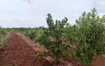 Plot For Sale in Dilsukh Nagar