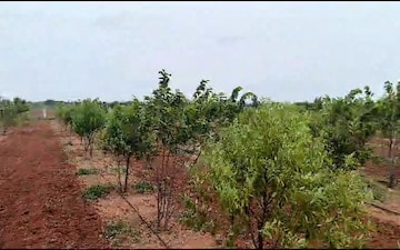 Plot For Sale in Gaddi Annaram
